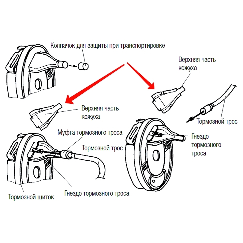 Купить knott - щиток фиксирующий тормозной трос, для всех барабанов (6x0046.005) по цене . Низкие цены. Большой выбор. Доставка по всей России. Интернет-магазин в Москве. Только положительные отзывы!